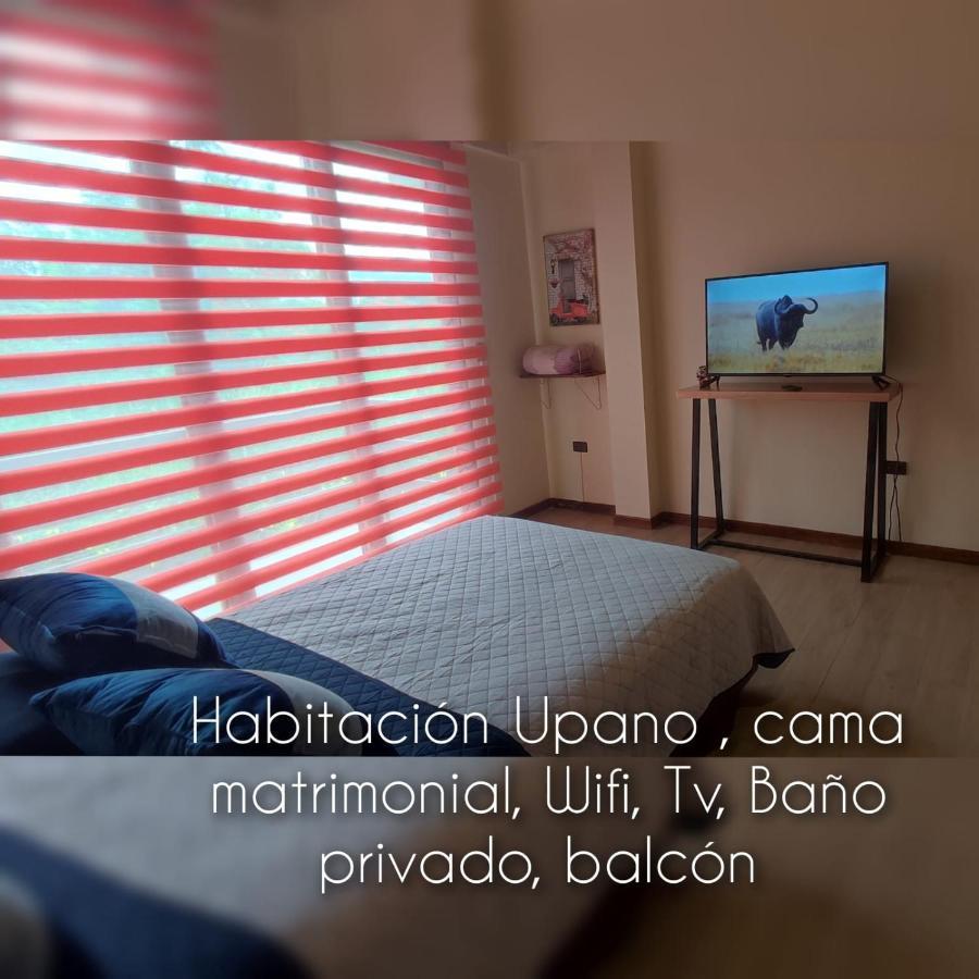 Quinta Isabel, Casa De Huespedes & Cafeteria Bed & Breakfast Macas Dış mekan fotoğraf